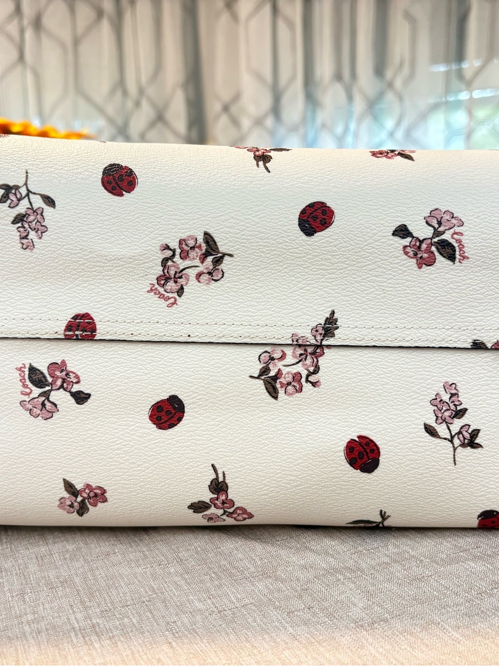 Coach Ladybug set - Picture 5 of 10